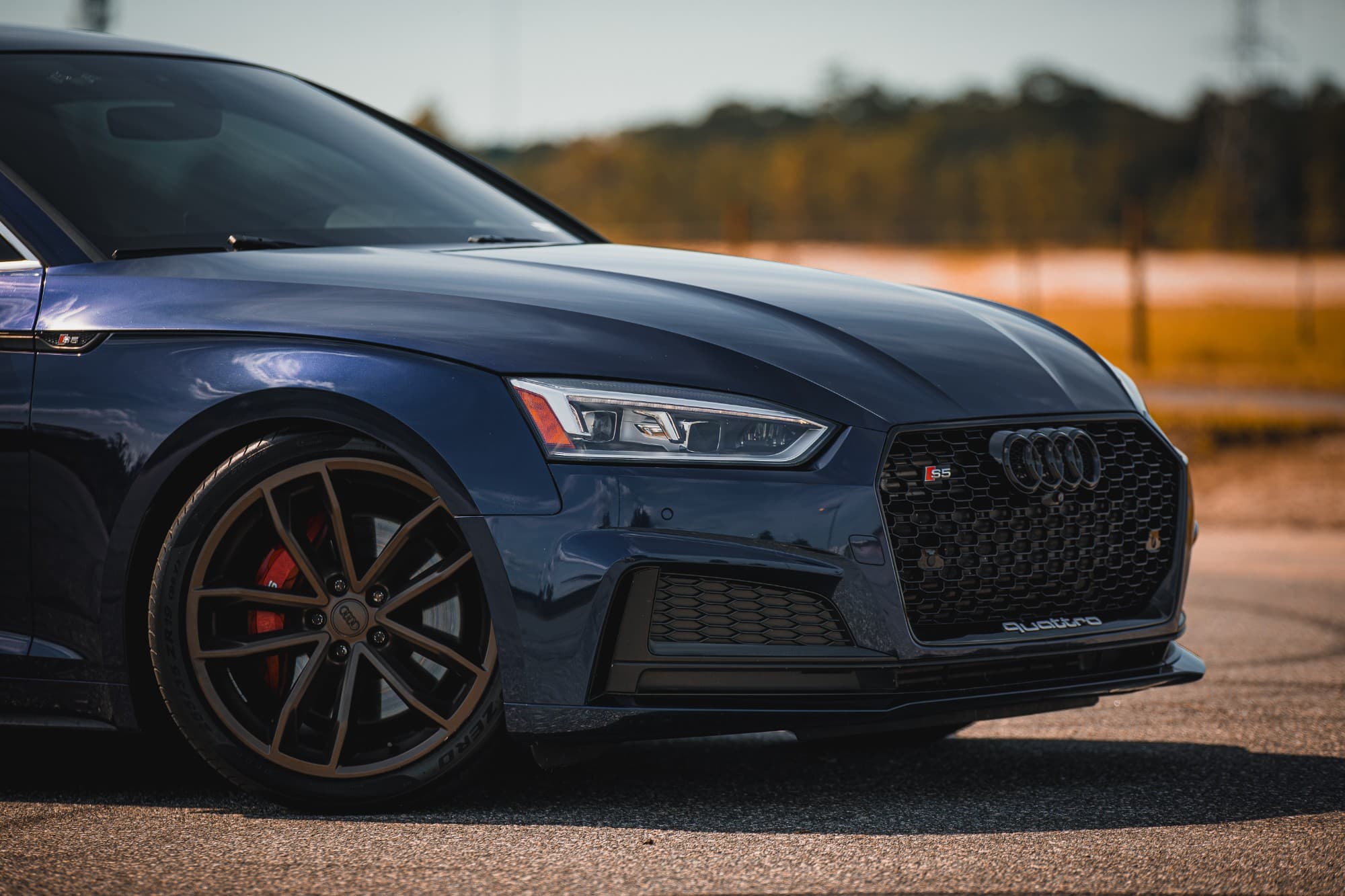 The front end of a navy B9 Audi S5: bronze wheel, red S5 calipers, honeycomb grille